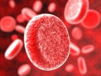 Câte litri de sânge în corpul uman