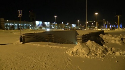 Câinele, aruncată de amantă pe aeroportul din Ekaterinburg, a fost ucisă de frig