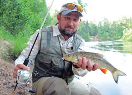 Falcon Fisher (sólyom halász 5 betű, szkript)