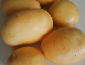 Soiuri de cartofi pentru sudul Ucrainei fotografie și descriere