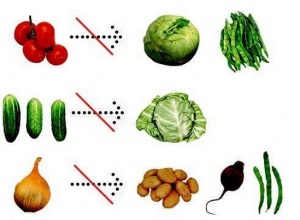 Compatibilitatea legumelor cu sfaturi de grădină de legume