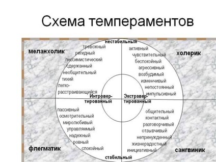 Összeegyeztethetősége temperamentummal között flegmatikus, melankolikus, kolerikus és szangvinikus