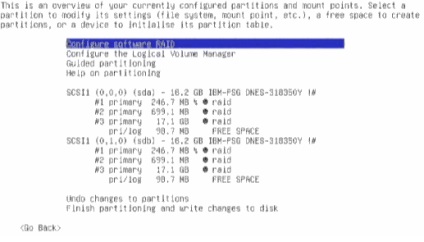 Crearea raid1 software-ului în faza de instalare a linux debian