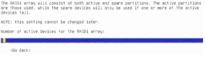 Crearea raid1 software-ului în faza de instalare a linux debian