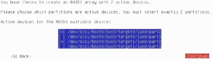 Crearea raid1 software-ului în faza de instalare a linux debian