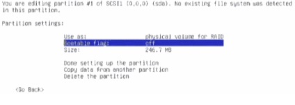 Crearea raid1 software-ului în faza de instalare a linux debian