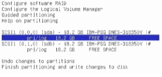 Crearea raid1 software-ului în faza de instalare a linux debian