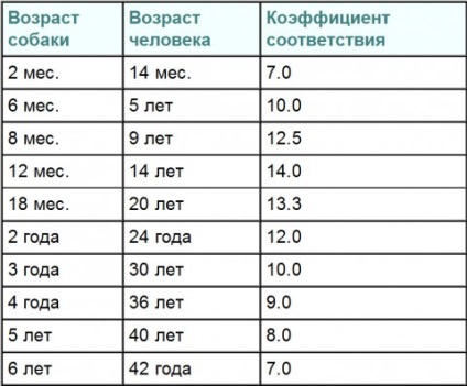 Comparația vârstei unui bărbat și câine, articole despre câini