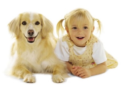 Comparația vârstei unui bărbat și câine, articole despre câini