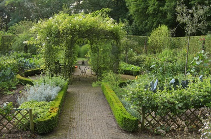 Paturi elegante cum se face o grădină frumoasă (fotografie)