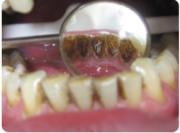 Dental clinic - denta - instituții medicale
