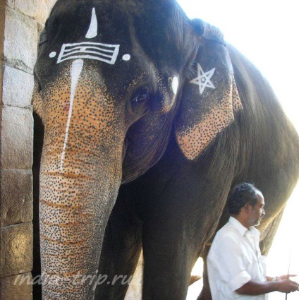 Thanjavur (tandzhur) - a város a Tamil Nadu, India