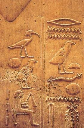 A rejtély hieroglifák