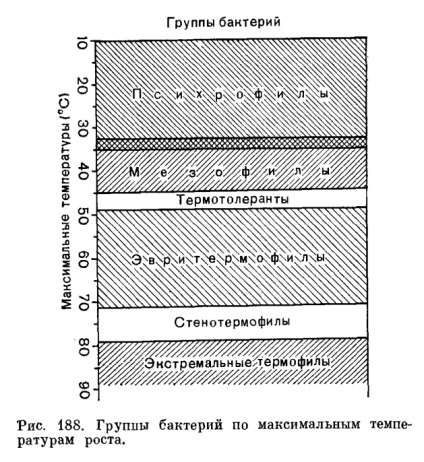 Grupurile de temperatură ale termorezistenței și stabilității termice ale microorganismelor - aceasta