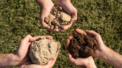 Terroir és terroir bor