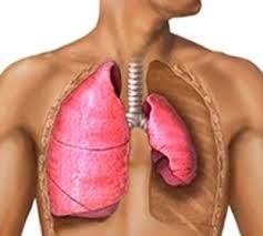 Îndepărtarea toracoscopică a chisturilor pulmonare, emfizemul pulmonar bulos - chirurgia laparoscopică în