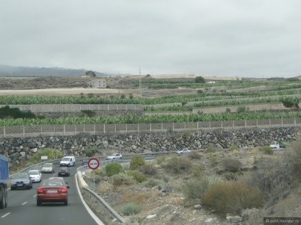 Transport în Tenerife