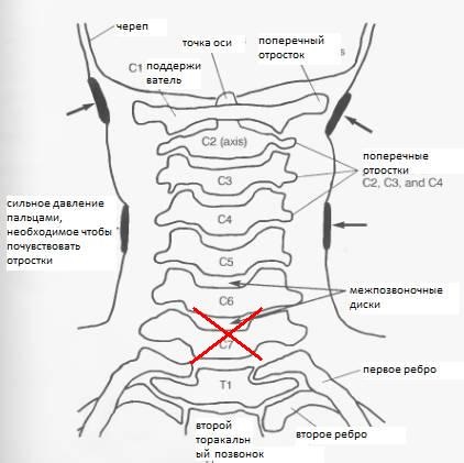 Exerciții pentru coloanei vertebrale