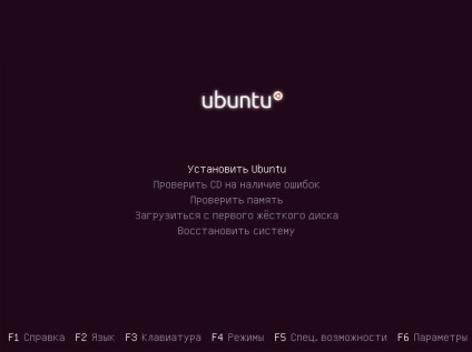 Instalarea sistemului cu criptarea întregului disc, documentația în limba rusă pentru ubuntu