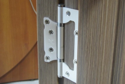 Tipuri de caracteristici de design al balamalei ușilor (fotografie)