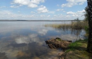 Lacul Vishnevskoe - trăsături de capturare, răcoroși aici