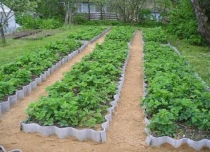 Grădinile de legume mari și paturile principalelor avantaje și facilități
