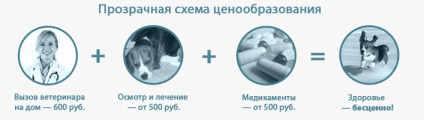 Chemând un medic veterinar la o casă de pisici din Moscova, lăsând un medic veterinar, îngrijire veterinară la domiciliu,