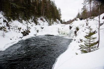 Vreau să mă întorc la Karelia! 