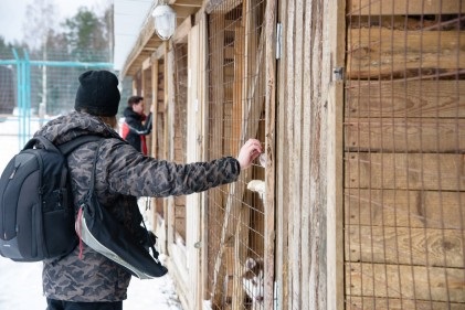 Vreau să mă întorc la Karelia! 