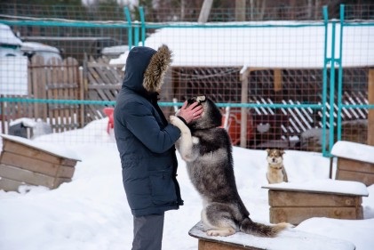 Vreau să mă întorc la Karelia! 