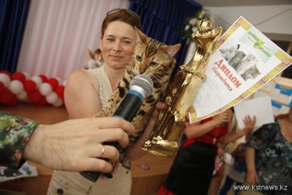 O expoziție de pisici a avut loc la Kostanay