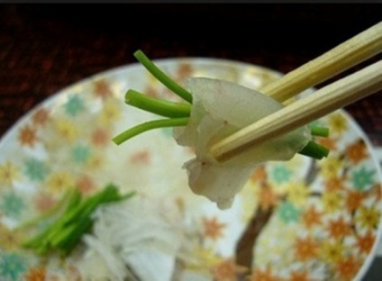 Taste of veszély Japánban megéri kipróbálni fugu