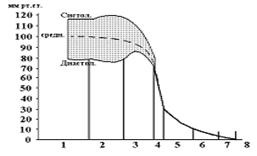 Timpul circulației complete a sângelui - stadopedia