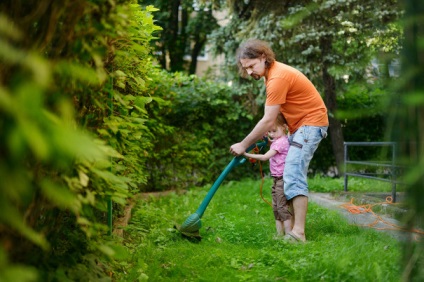 Toate în grădină 7 cele mai bune mașini pentru tăierea gazonului perfect