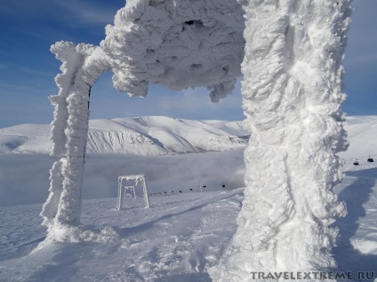 Câini de zbor Hibiny - raport, travelextreme