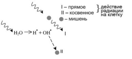 lecke №2