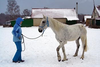 Cucerirea interesului, prieten vechi