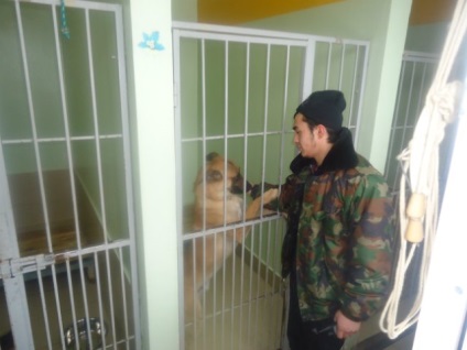 Zoo hoteluri (supraexpunerea) în cazul în care să părăsească animalul de companie în momentul plecării - zoo complexe 