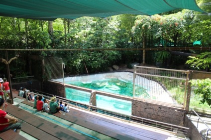 Zoo Pattaya Khao kheo fotók, árak, hogyan lehet eljutni