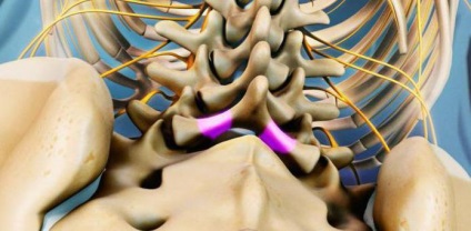 Anatomia procesului spinos al coloanei vertebrale