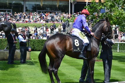 Anglia Ascot Royal Traditions