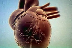 Atrofia mușchiului cardiac - cauze, simptome și tratamentul atrofiei mușchiului cardiac, articole despre