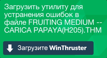 Ce este un fruct mediu - carica papaya (h205)