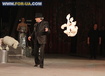 Circul din spatele scenei ceea ce este - casa interpreților de circ și artiștii cu patru picioare (în circurile naționale ale ucrainei