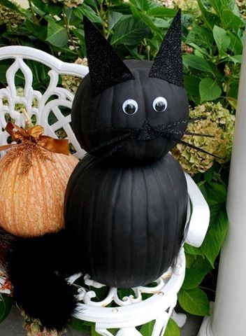 Dekoráció Halloween - fekete macska, élő érdekes