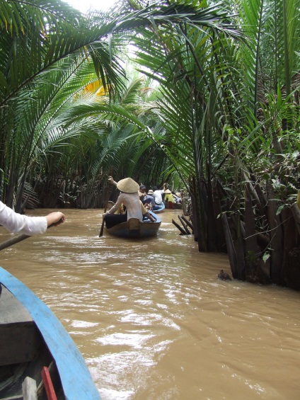 Mekong Delta koordinálja és fotók, mit látni, és ahol a Mekong-delta