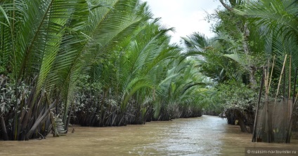 Delta Mekong, un sfat de la turismul maksim-nav