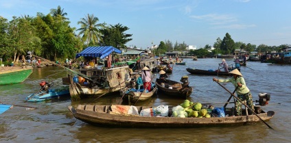 Delta Mekong, Vietnam