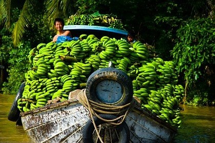 Delta Mekong, Vietnam