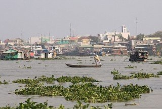 Delta Mekong, Vietnam